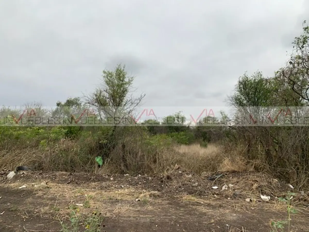 Terreno en renta en Paras, Montemorelos — foto 1 de 8