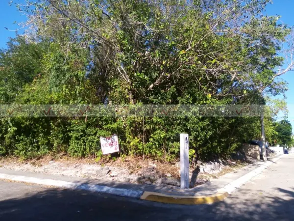 Terreno en venta en Joaquín Zetina Gasca, Puerto Morelos — foto 2 de 13