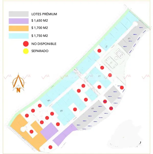 Terreno en venta en Los Sabinos (Sabinos de Abajo), Allende — foto 2 de 8