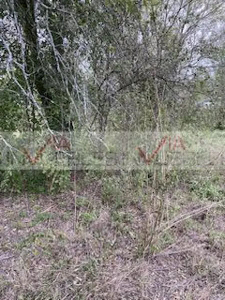 Terreno en venta en Valle Hidalgo (La Cotorra), Montemorelos — foto 3 de 9