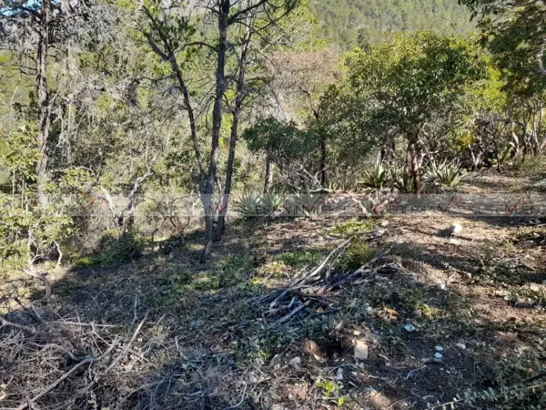 Terreno en venta en Jame, Arteaga — foto 2 de 9