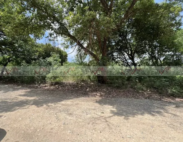 Terreno en venta en El Pastor, Montemorelos — foto 3 de 10