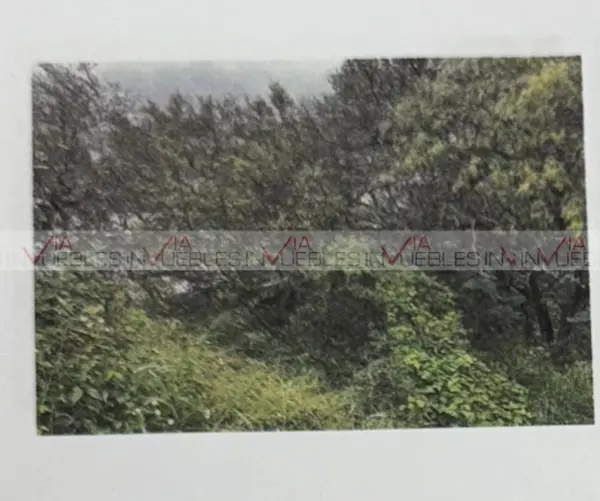 Terreno en venta en Renacimiento, Monterrey — foto 2 de 10
