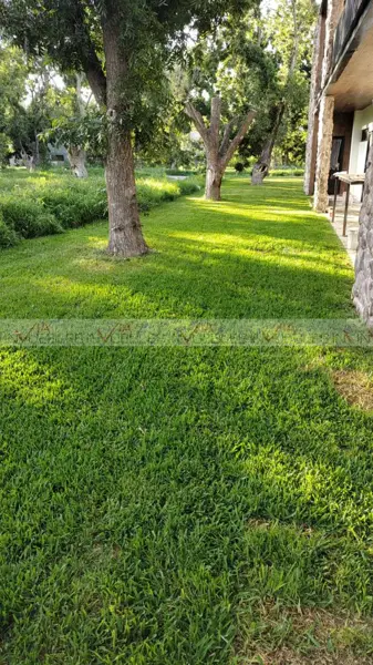 Hotel en venta en Parras de la Fuente Centro, Parras — foto 2 de 12