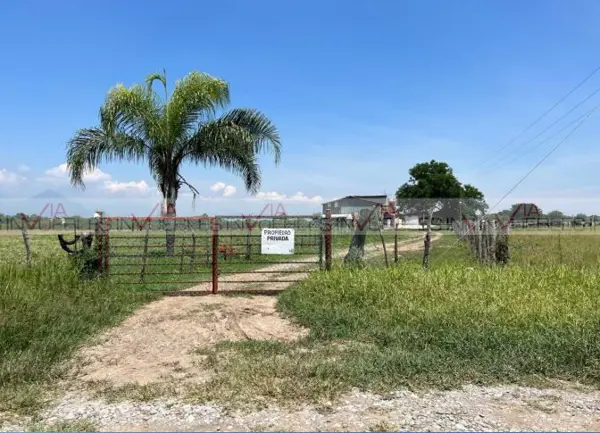 Juarez