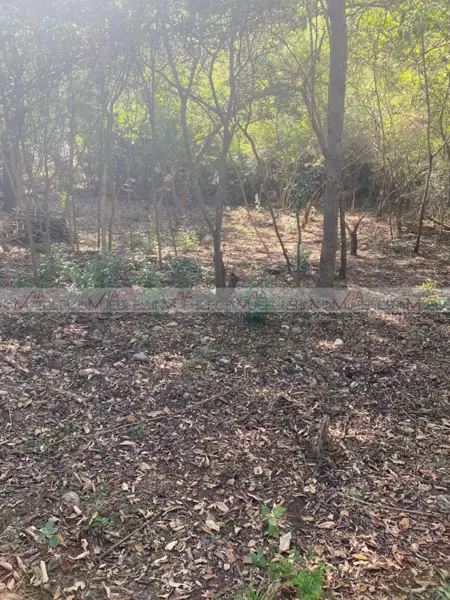 Terreno en venta en El Pastor, Montemorelos — foto 3 de 8