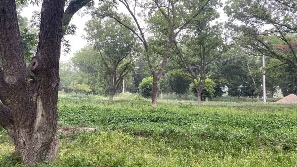 Terreno en Venta en Parras, Coahuila