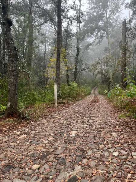 Terreno en venta en Bermúdez, Huasca de Ocampo — foto 2 de 13