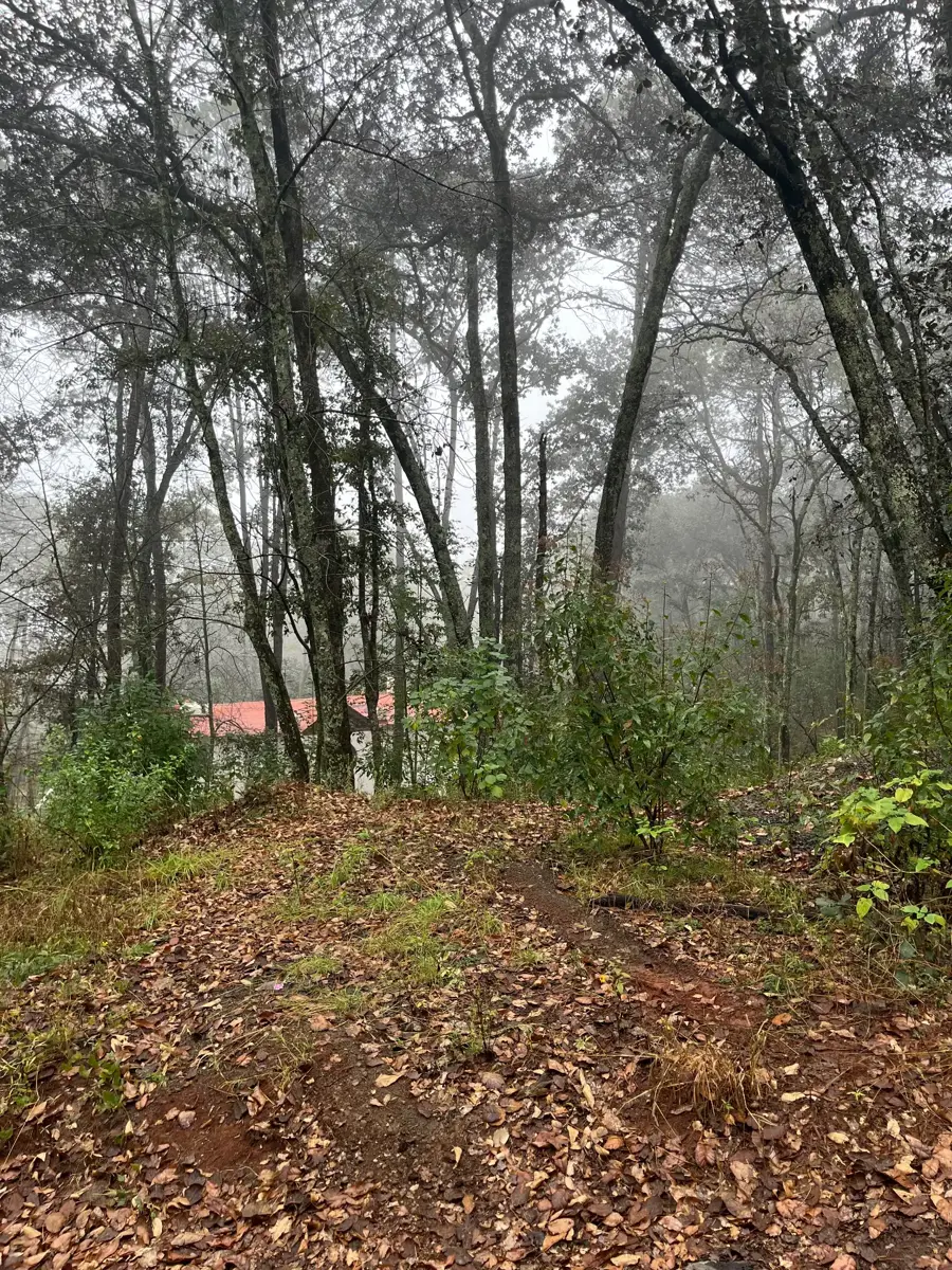 Terreno en venta en Bermúdez, Huasca de Ocampo — foto 1 de 13