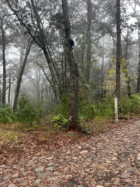 Terreno en venta en Bermúdez, Huasca de Ocampo — foto 3 de 13