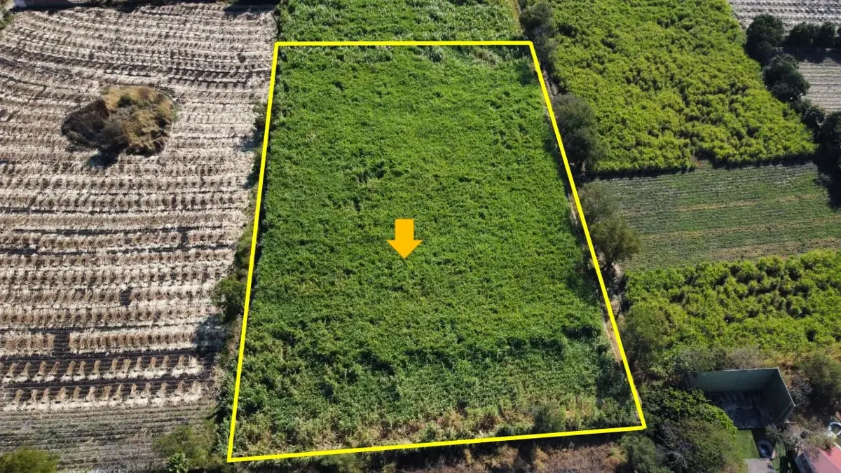Terreno en venta en Diego Ruiz, Yautepec — foto 1 de 11