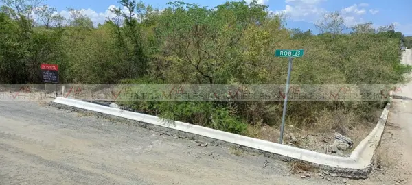 Terreno en venta en Montemorelos Centro, Montemorelos — foto 3 de 8