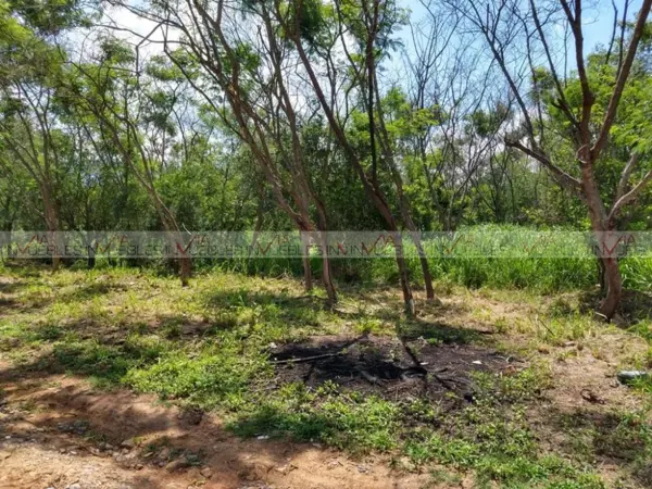 Terreno en venta en Raúl Caballero, Allende — foto 3 de 9