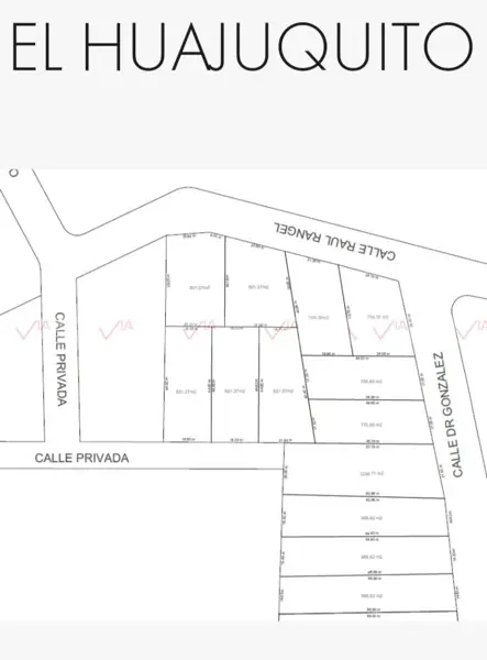 Terreno en venta en Huajuquito o los Cavazos, Santiago — foto 3 de 8