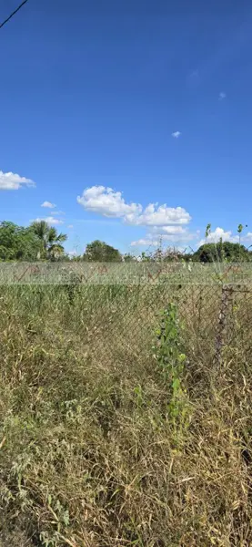 Terreno en venta en Huajuquito o los Cavazos, Santiago — foto 3 de 8