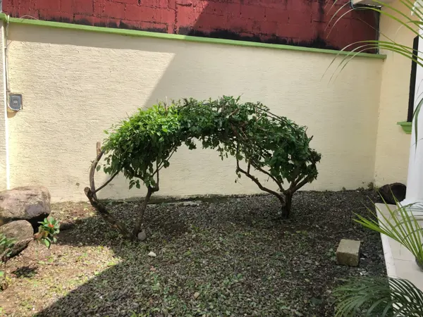 Casa en venta en Residencial las Vegas, Tapachula — foto 3 de 22