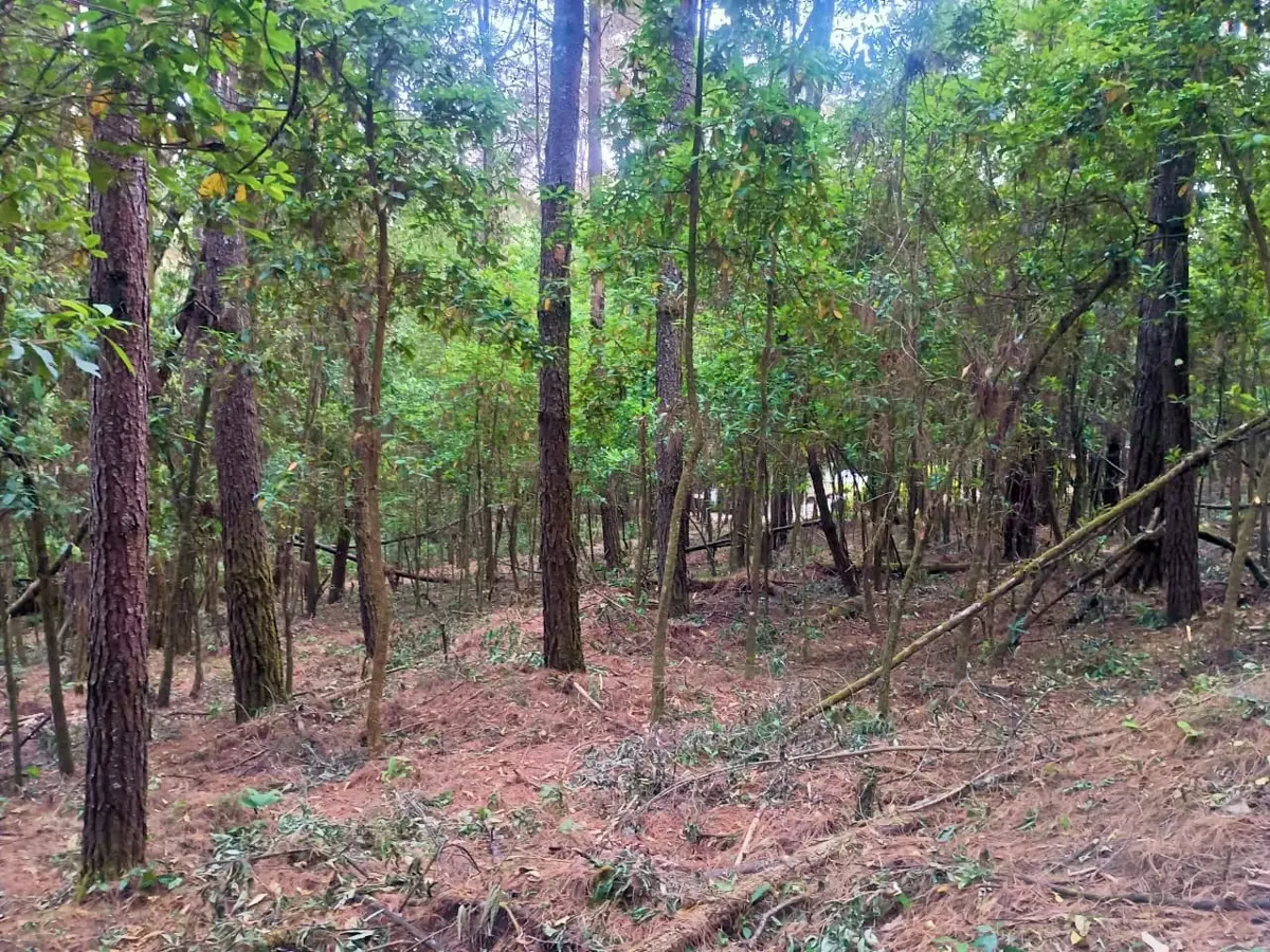 Terreno en venta en Avandaro, Valle de Bravo — foto 1 de 6