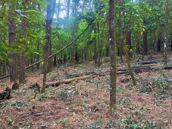 Terreno en venta en Avandaro, Valle de Bravo — foto 3 de 6