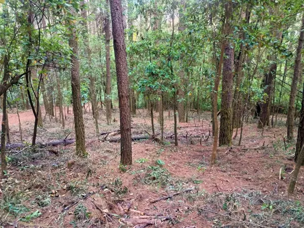 Terreno en venta en Avandaro, Valle de Bravo — foto 2 de 6