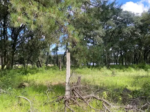 Terreno en venta en Santa Maria Mazatla, Jilotzingo — foto 3 de 12