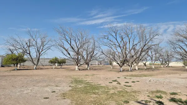 Finca-Rancho en venta en San Antonio del Coyote, Matamoros — foto 2 de 37