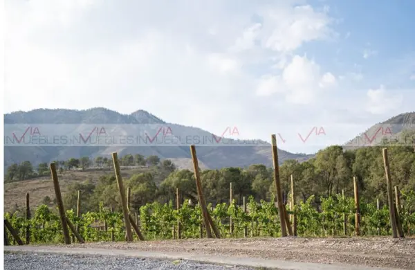 Terreno en venta en Potrero de Ábrego, Arteaga — foto 2 de 8