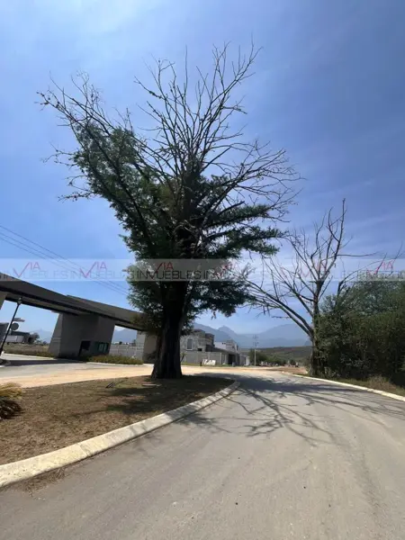 Terreno en venta en Florines, Allende — foto 3 de 8