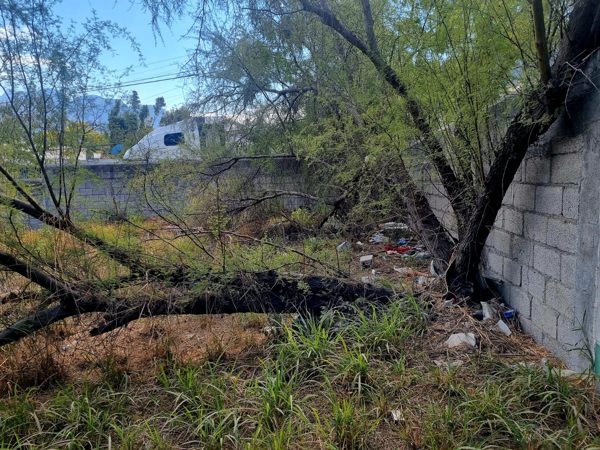 Terreno en renta en Ciudad Santa Catarina Centro, Santa Catarina — foto 2 de 3