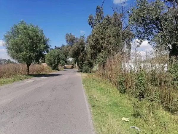 Terreno en venta en Atenguillo, Chiautla — foto 2 de 6
