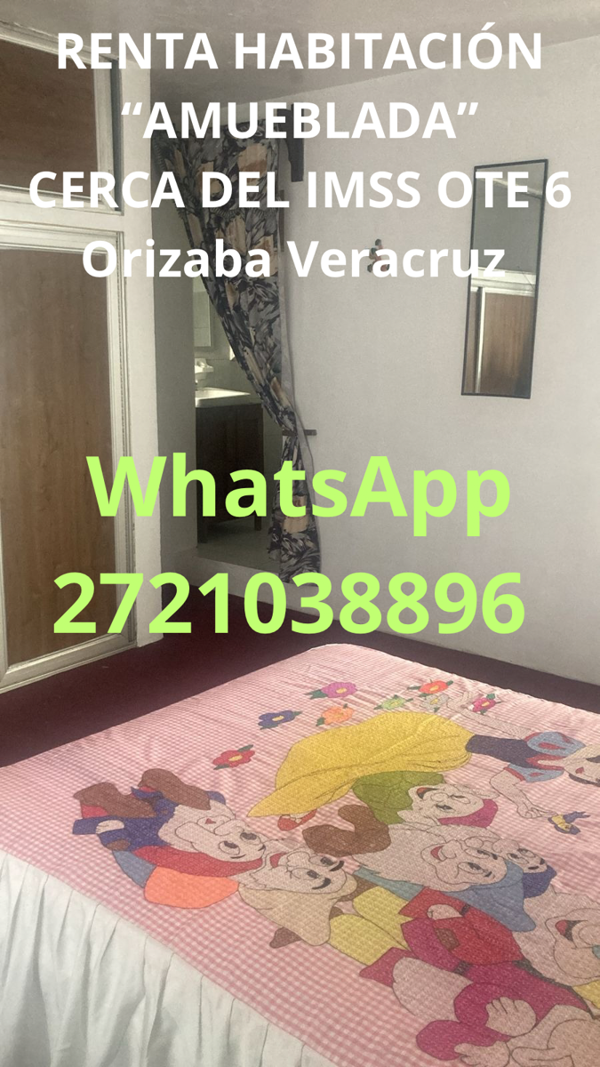 Departamento en renta en Miguel Aleman, Orizaba — foto 1 de 13