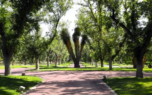 Terreno en venta en Parras, Parras — foto 3 de 7