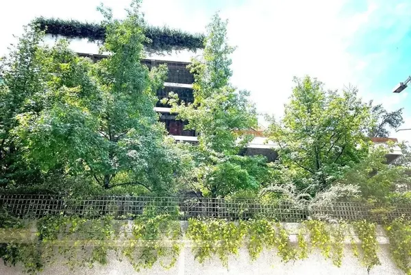 Oficina en renta en Bosque de las Lomas, Miguel Hidalgo — foto 2 de 3