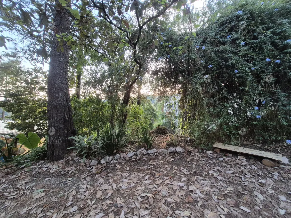 Terreno en venta en Del Bosque, Cuernavaca — foto 1 de 8