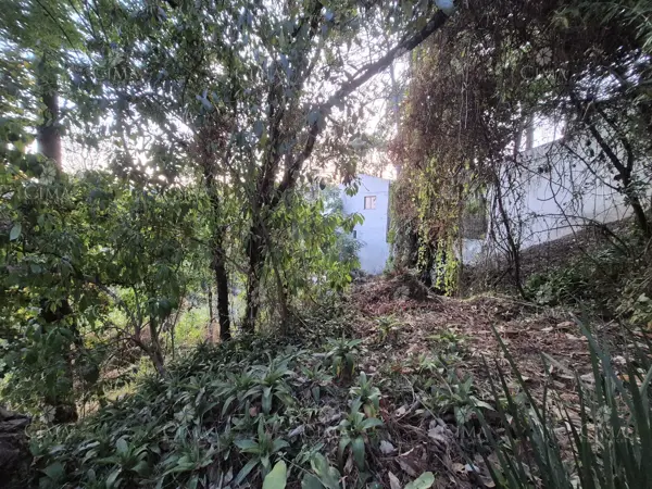 Terreno en venta en Del Bosque, Cuernavaca — foto 3 de 8