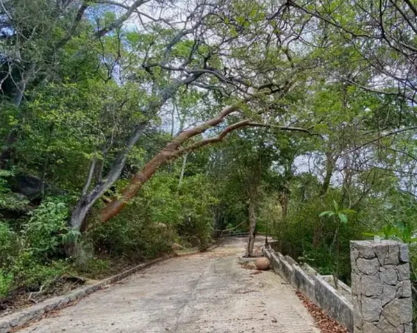 Terreno en venta en La Cima, Acapulco de Juárez — foto 3 de 6