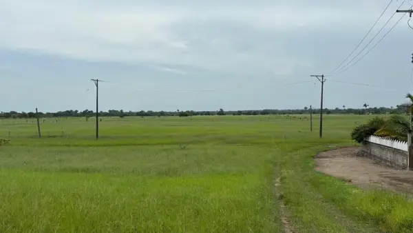 Terreno en venta en Nautla, Nautla — foto 2 de 5