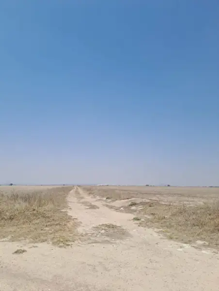 333 hectáreas Chapantongo Hgo