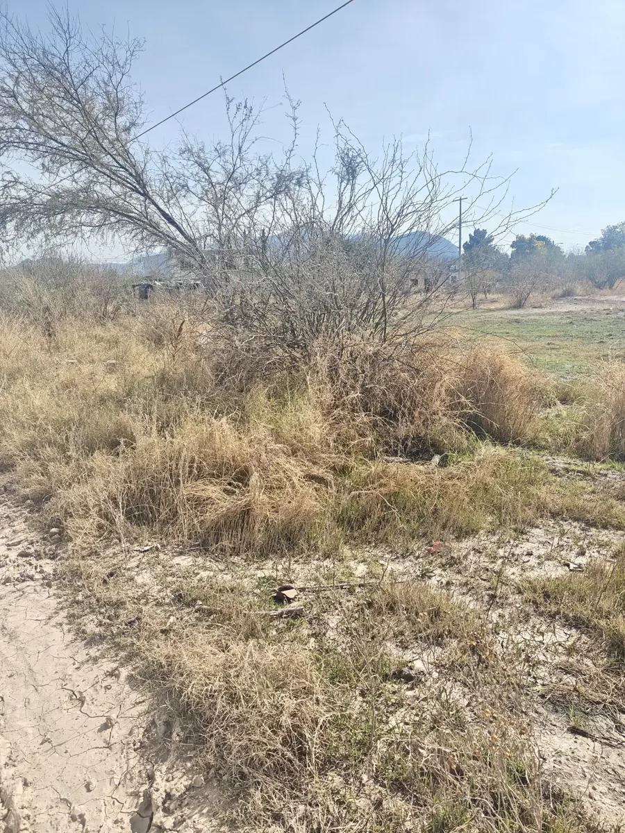 Terreno en venta en León Guzmán, Lerdo — foto 1 de 8
