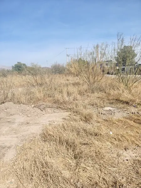 Terreno en venta en León Guzmán, Lerdo — foto 3 de 8