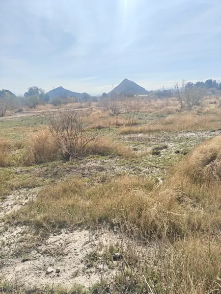 Terreno en venta en León Guzmán, Lerdo — foto 2 de 8