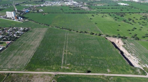 Terreno en venta en San José Palma Gorda, Mineral de la Reforma — foto 2 de 10