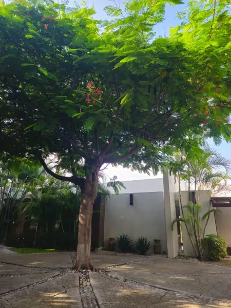 Casa en venta en Palmira, Cuernavaca — foto 3 de 10