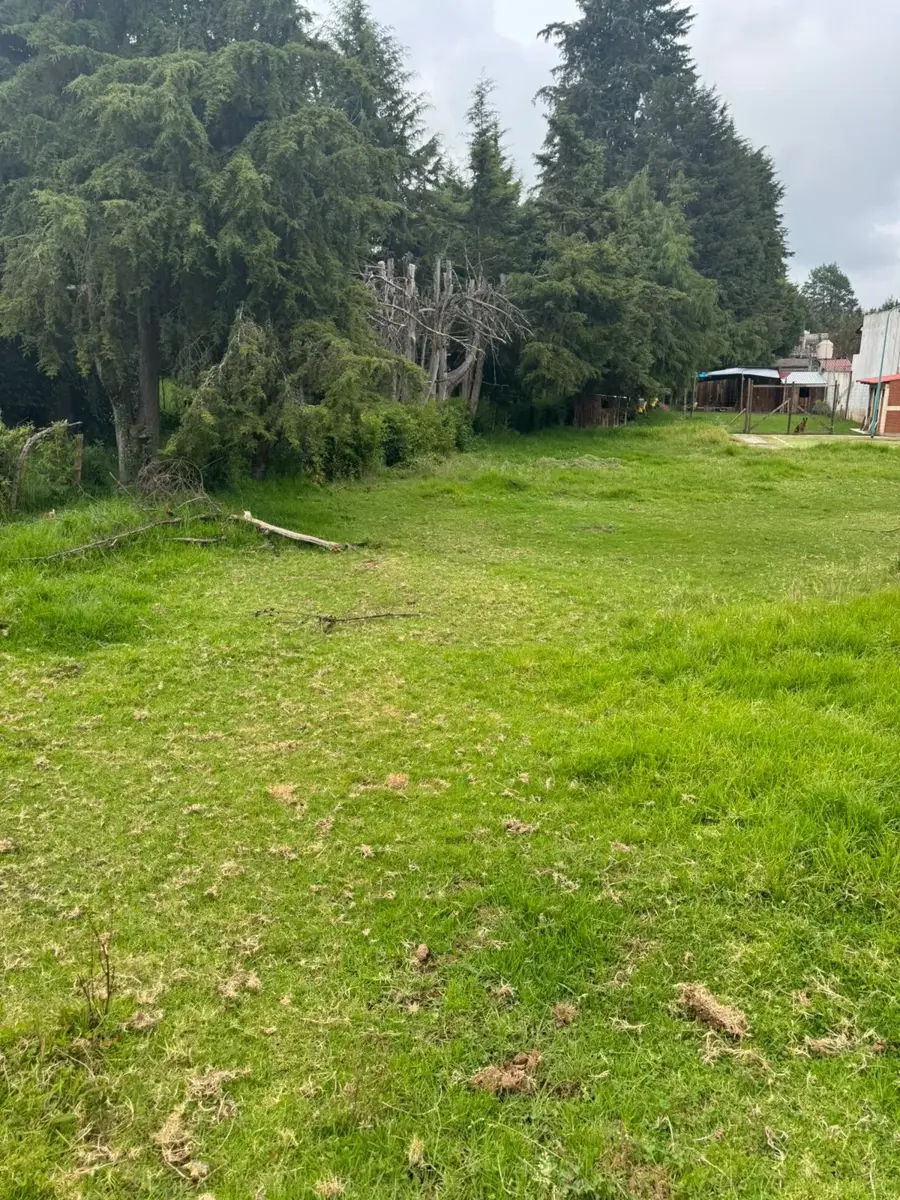 Terreno en venta en Jicolapa, Zacatlán — foto 1 de 3