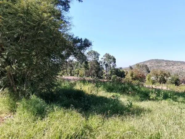 Terreno en venta en Los Sabinos, Atotonilco El Grande — foto 3 de 17
