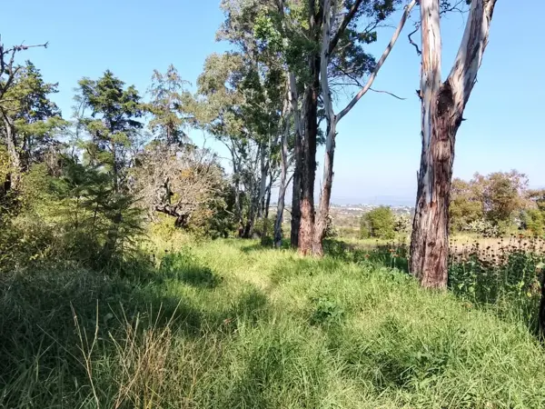 Terreno en venta en Los Sabinos, Atotonilco El Grande — foto 2 de 17