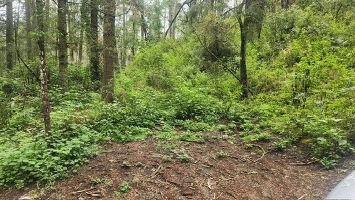 Terreno en venta en Pueblo Nuevo, Mineral del Monte — foto 1 de 10