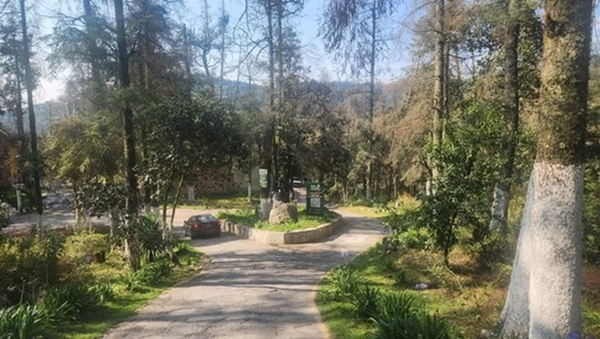 Terreno en venta en Pueblo Nuevo, Mineral del Monte — foto 3 de 10