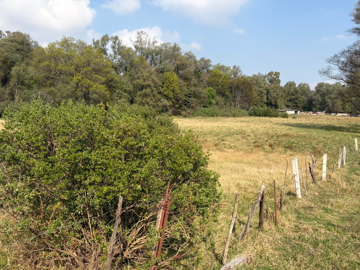 Terreno en venta en San Miguel Regla, Huasca de Ocampo — foto 1 de 4
