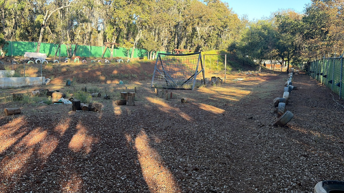 Terreno en venta en La Mora, Huasca de Ocampo — foto 1 de 6