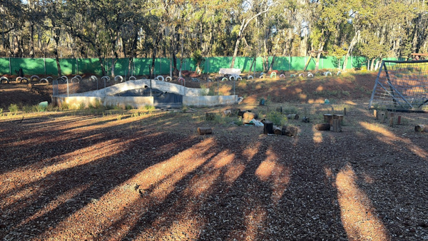 Terreno en venta en La Mora, Huasca de Ocampo — foto 2 de 6